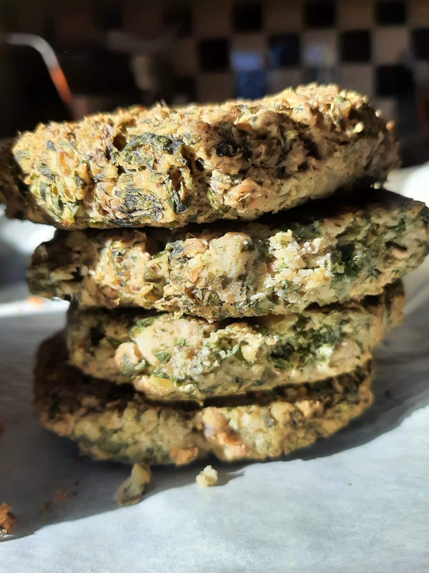 Plant protein rich –  sprouted bean patties