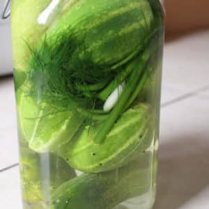 pickles from cucumbers