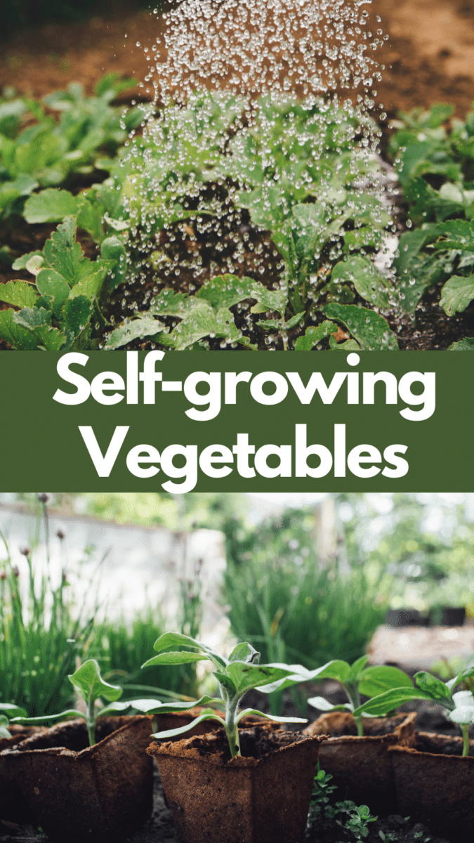 Self-growing vegetables
