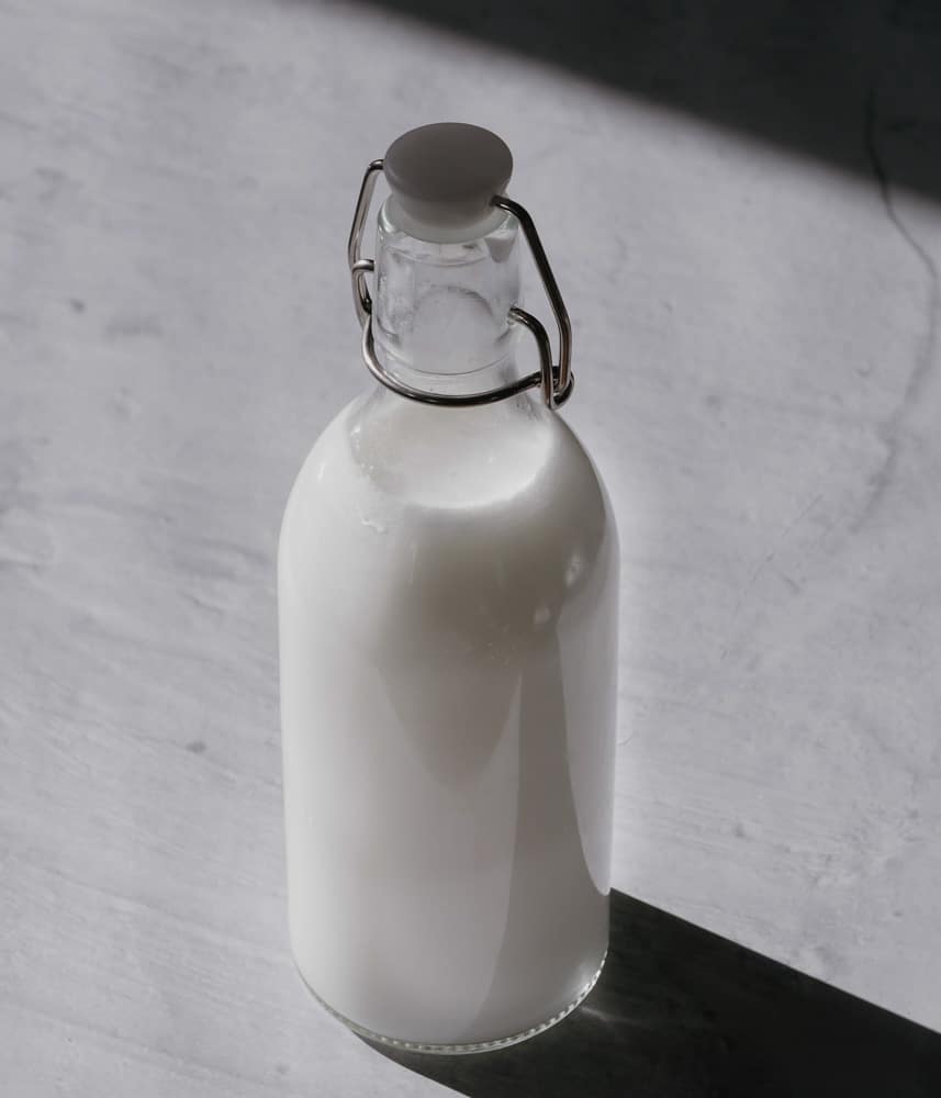 Homemade easy and creamy, best vegan milk out there!